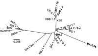 Evolutionary tree of COVID-19 variants